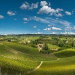 vigneti Cordero di Montezemolo