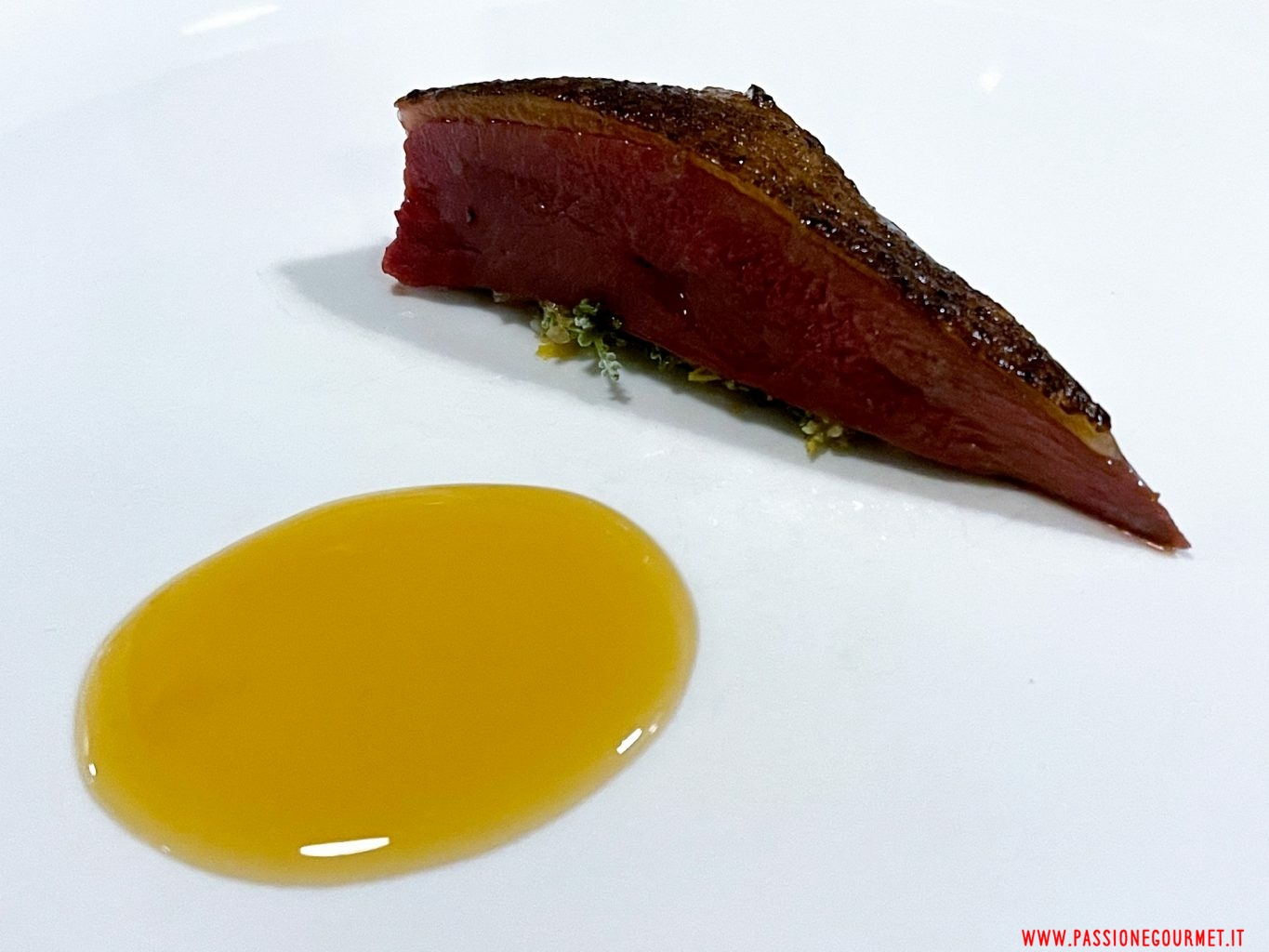 Petto di piccione, pepe caraibico, santolina, sambuca, melassa di giarretana.
