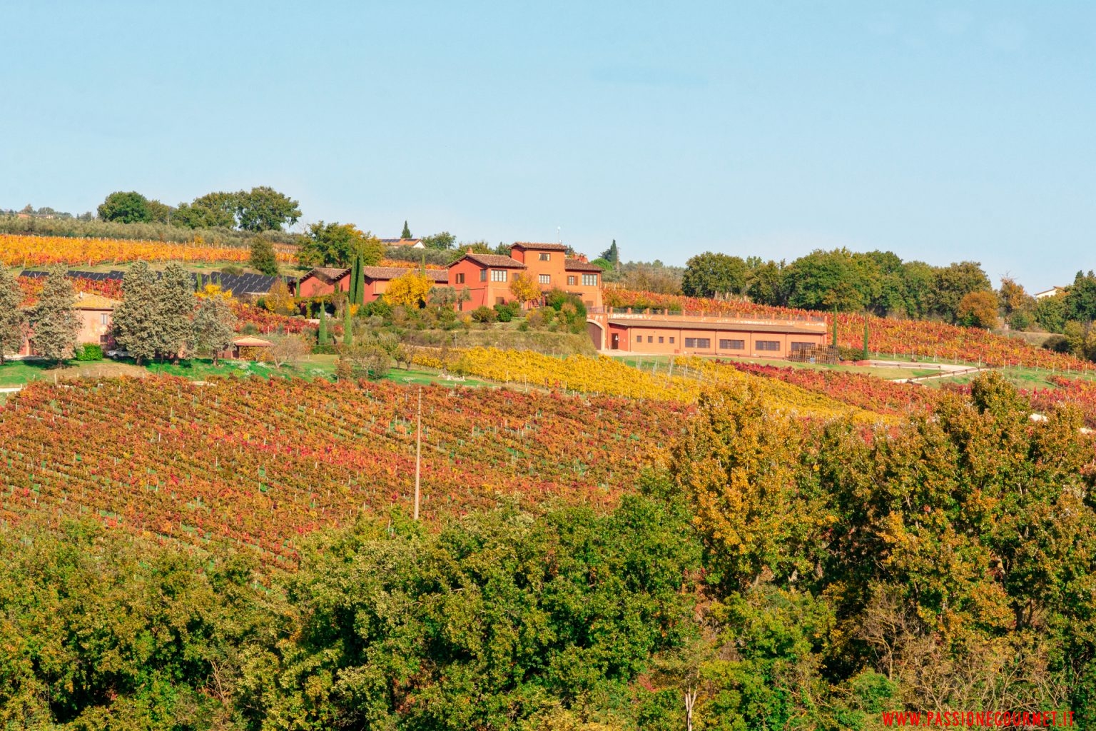 sagrantino