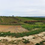 Colline Teramane Montepulciano d’Abruzzo
