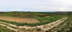 Colline Teramane Montepulciano d’Abruzzo Docg