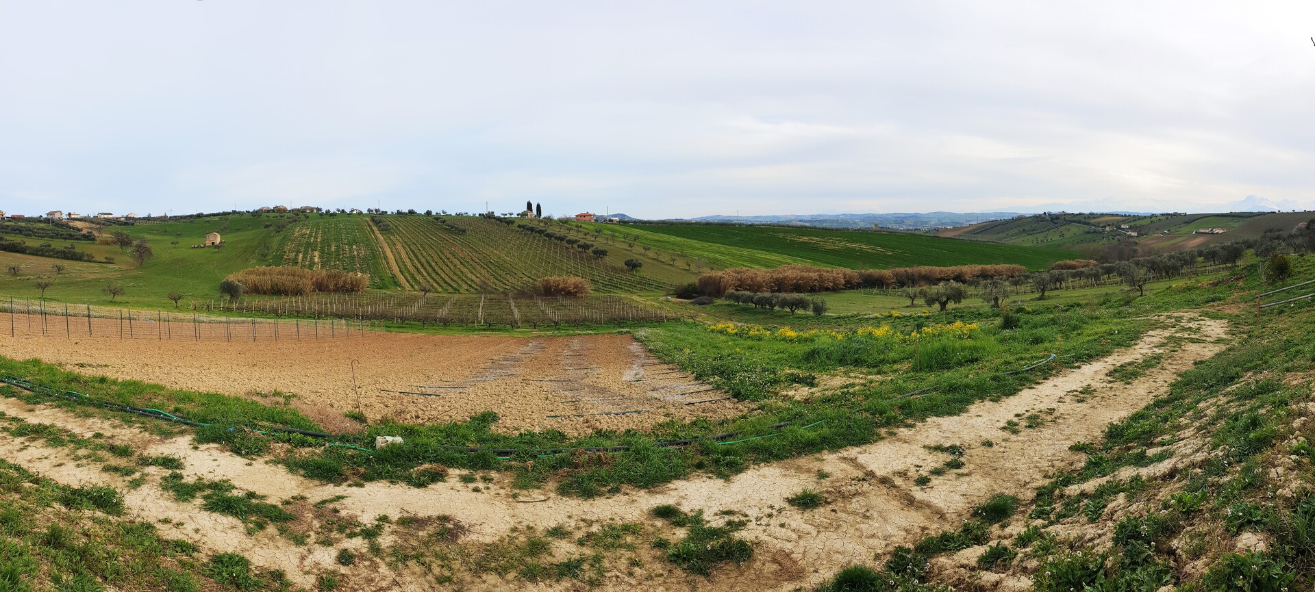 Colline Teramane Montepulciano d’Abruzzo