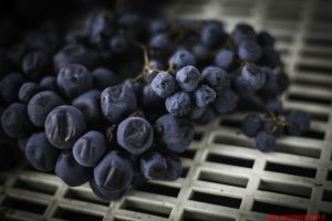10 anni di Amarone delle Famiglie Storiche