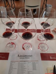 Il Valpolicella Superiore