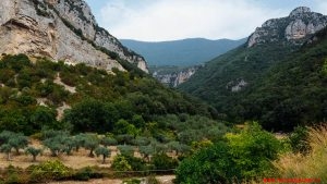 Passione Gourmet Live – San Salvatore